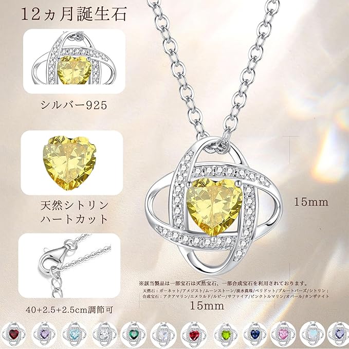 誕生石 ネックレス レディース 12ヵ月 「終わりの愛」コンセプト シルバー S925 ホワイトデー お返し ギフト 女性 ジュエリー クリスマス 誕生日 プレゼント ラッピング用品付